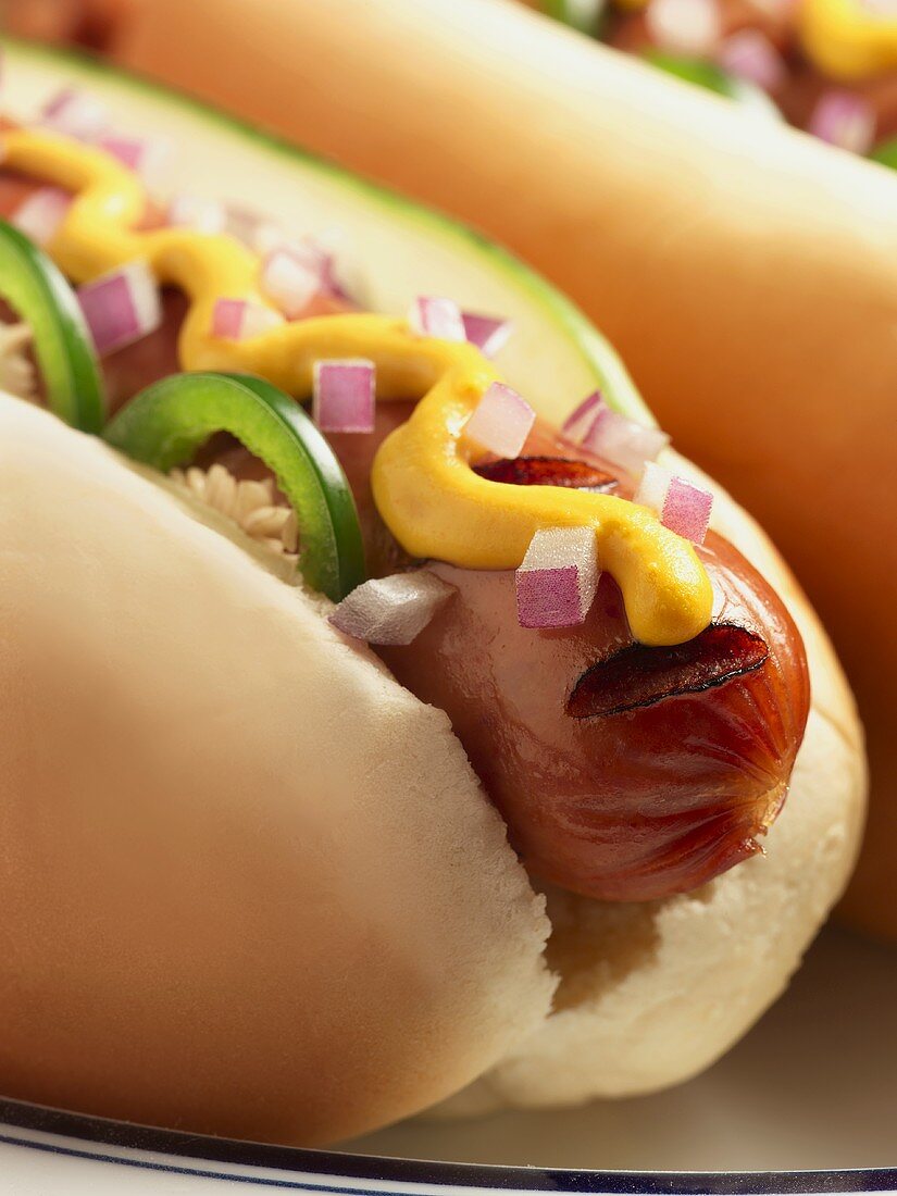 Grilled Hot Dog with Mustard, Jalapeno, Red Onion and Pickles