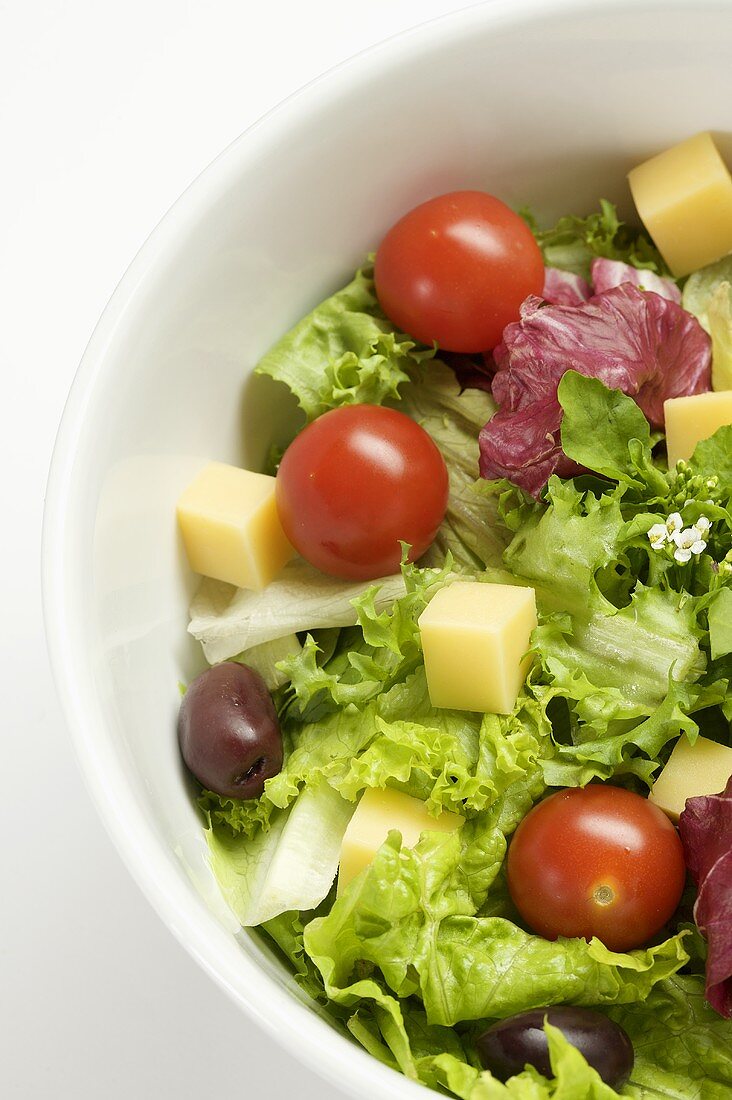 Grüner Salat mit Kirschtomaten und Käse