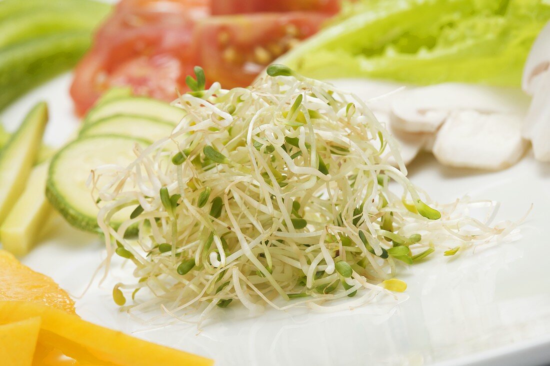 Alfalfa Sprouts with Sliced Vegetables