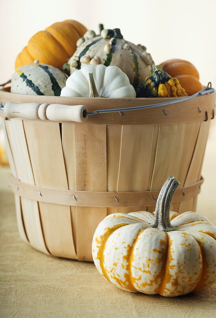 Basket Full of Assorted Gourds and Pumpkins