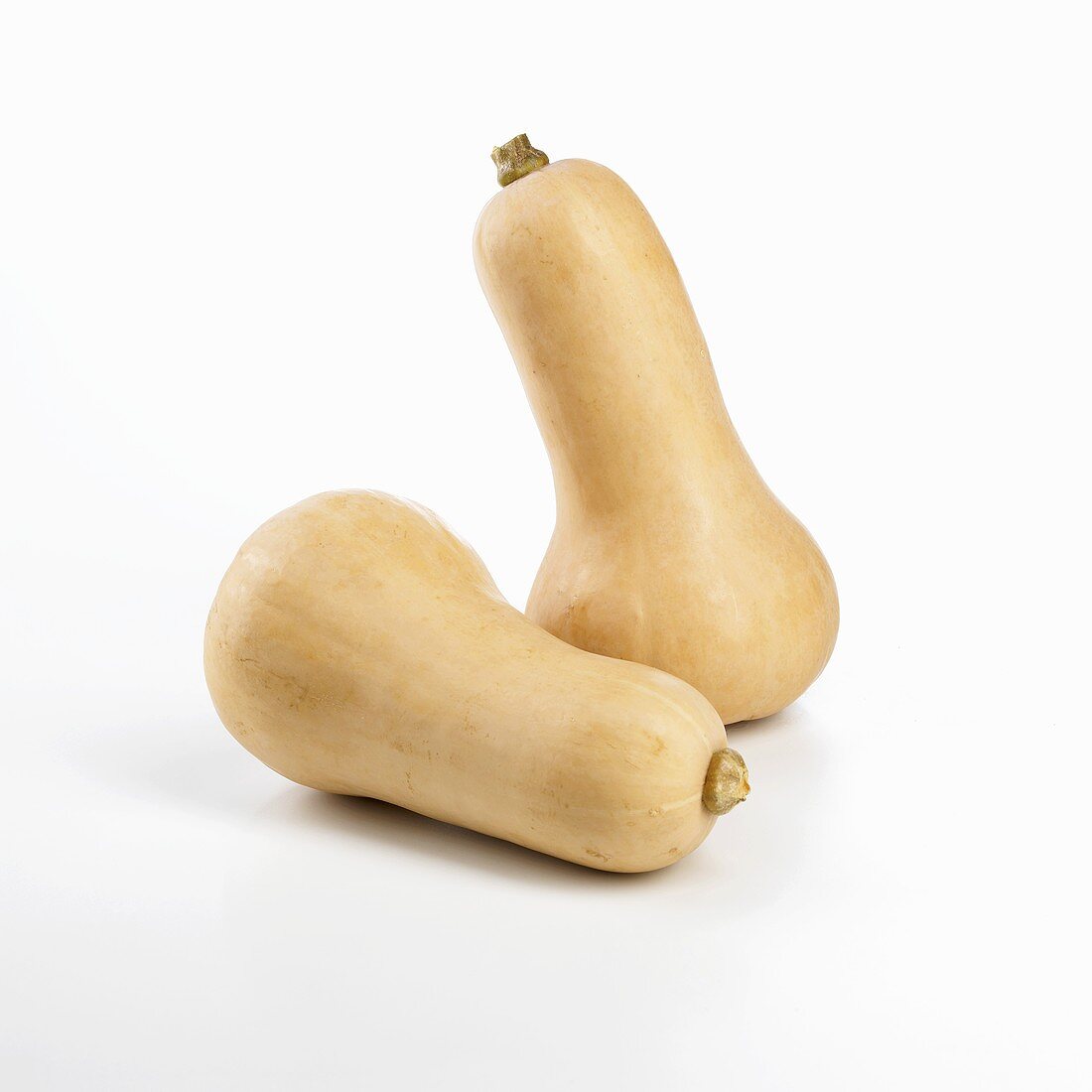 Two Butternut Squash