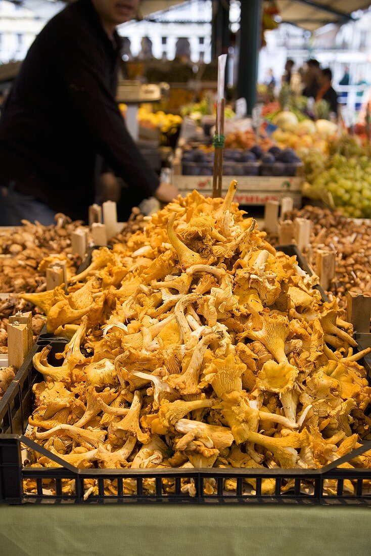 Mushrooms for Sale at Rialto Market in Venice Italy