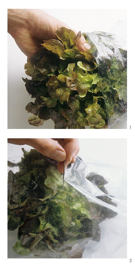 Storing lettuce