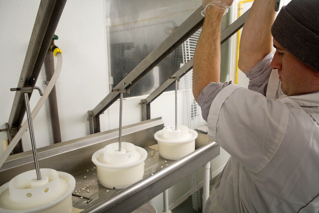 Pressing Curds