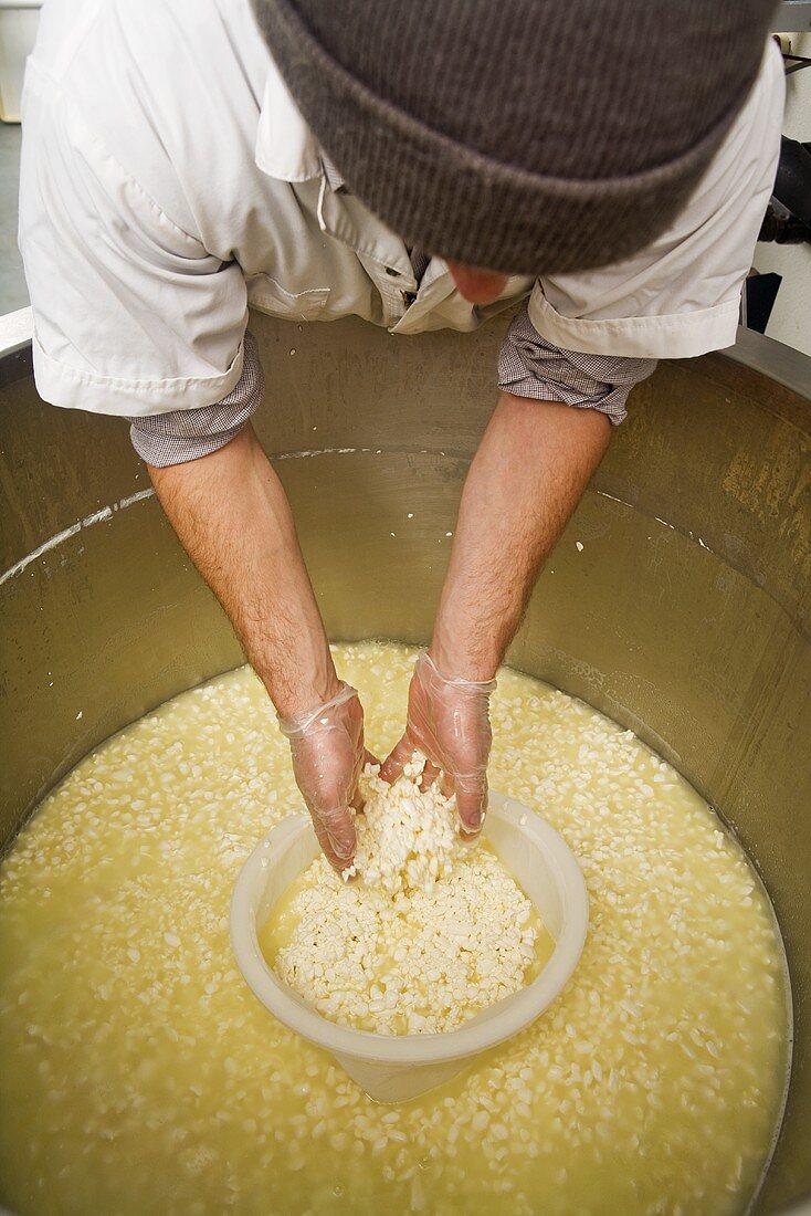 Man Collecting Curds with Hands