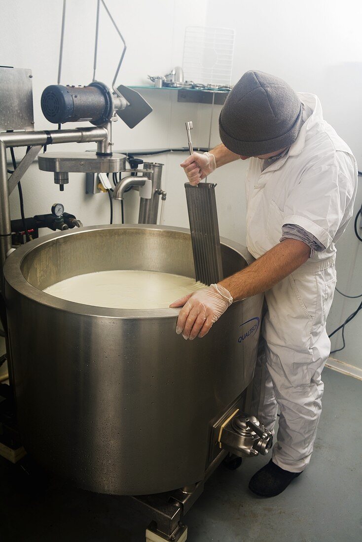 Man Stirring Curds and Whey 