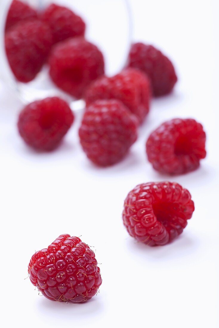 Fresh Raspberries on White Background