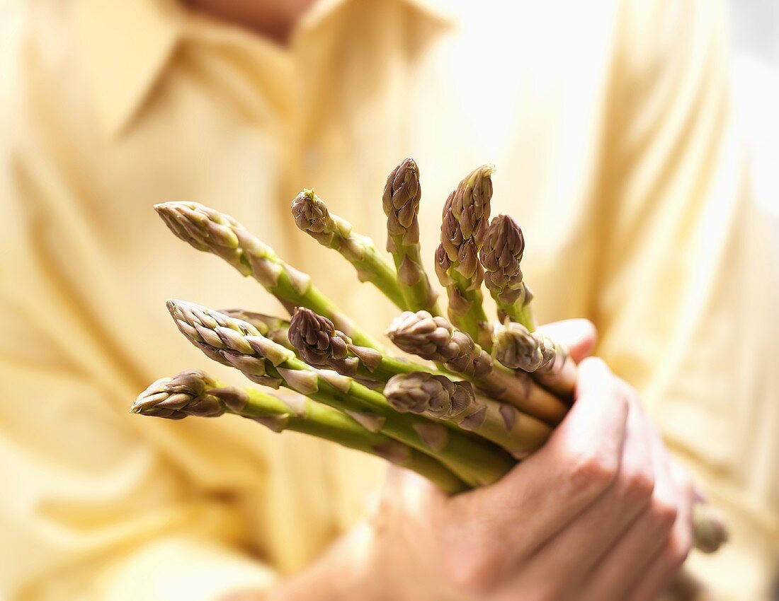 Holding a Bunch of Fresh Asparagus