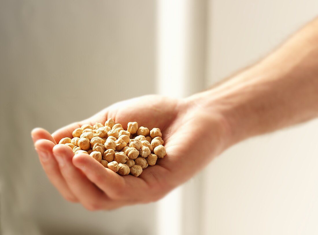 Hand Holding Dried Chick Peas