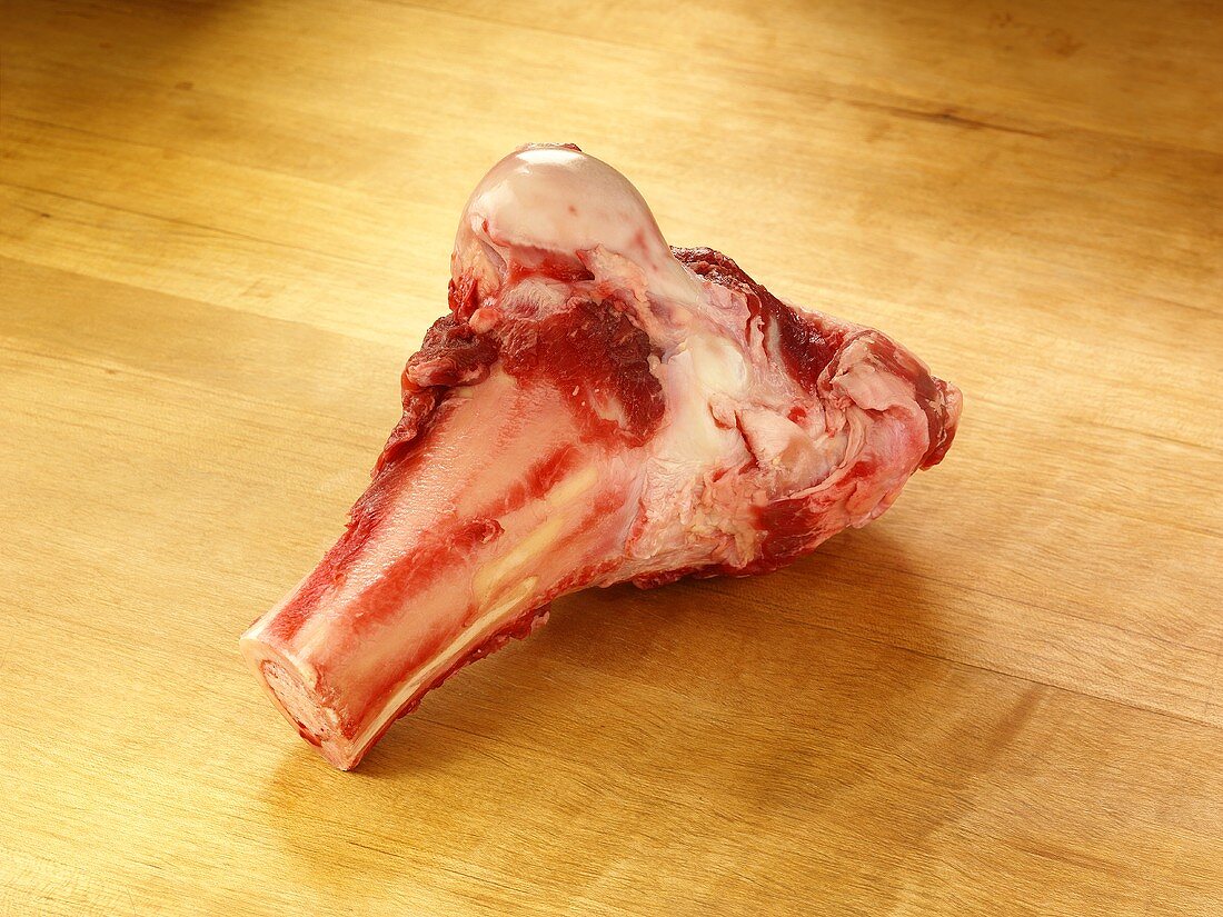 Beef Bone for a Dog