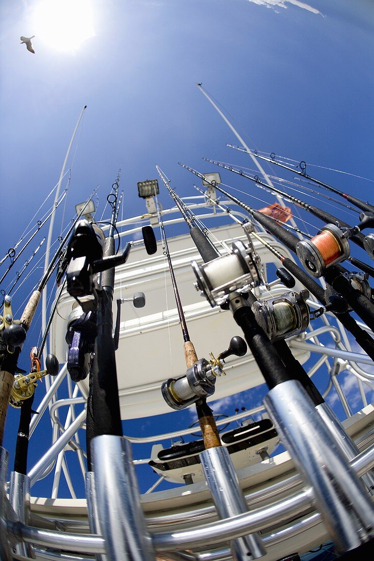 Deep Sea Fishing Rods on Boat