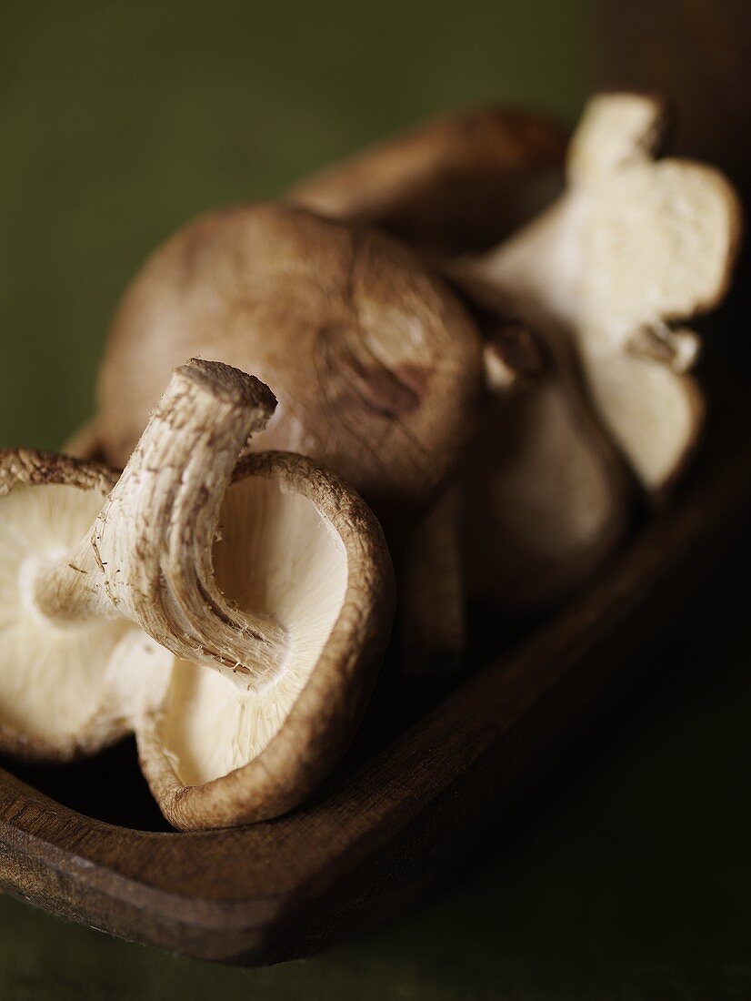 Fresh Mushrooms in Wooden Bowl