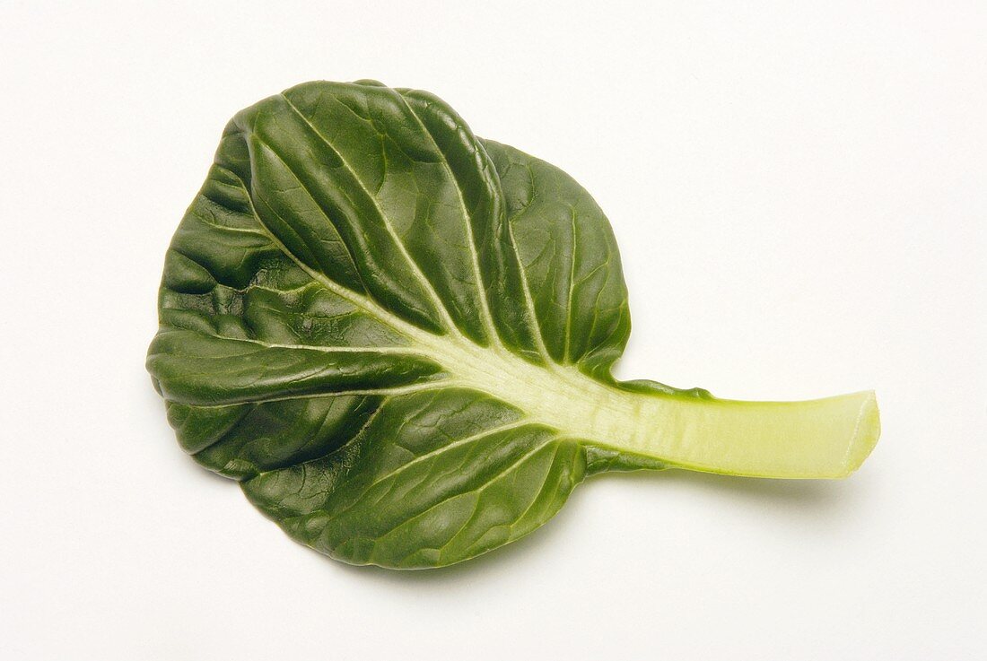 Ein Blatt vom Bio-Tatsoi (auch Rosette Pak Choi)