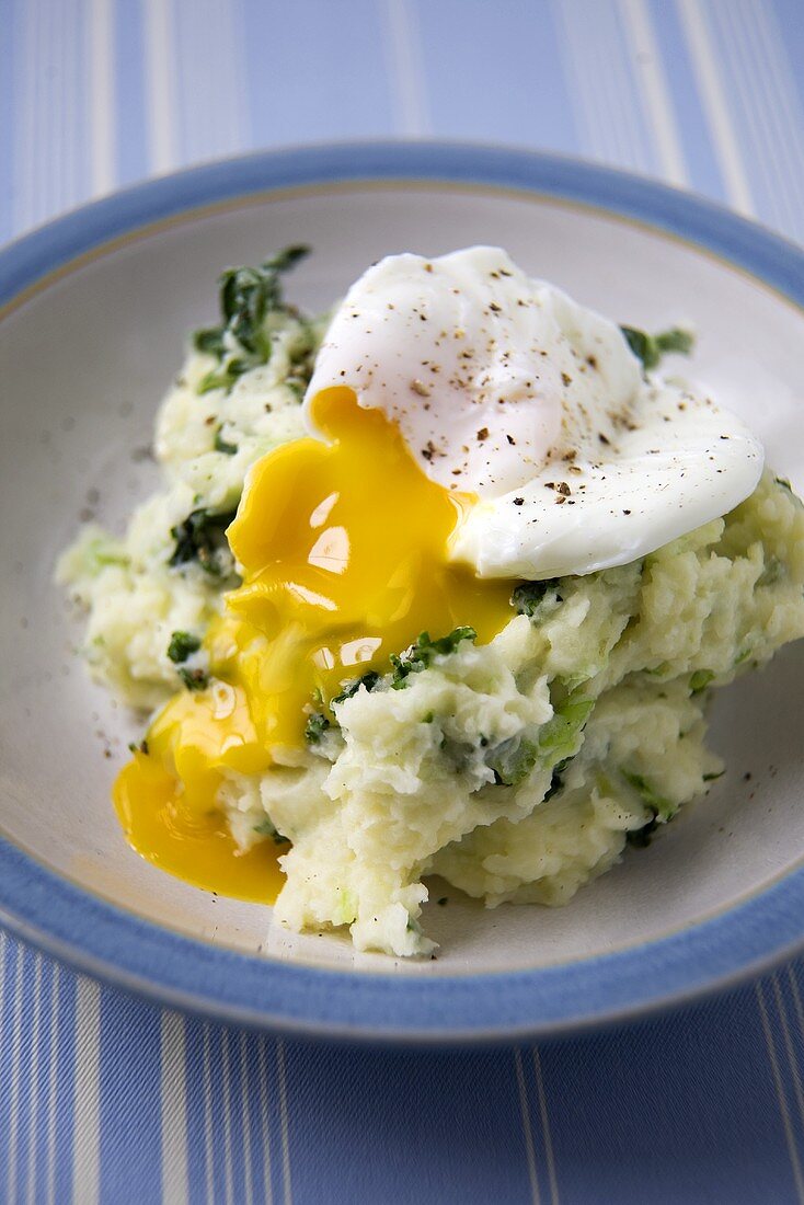 Colcannon mit pochiertem Ei (Irland)