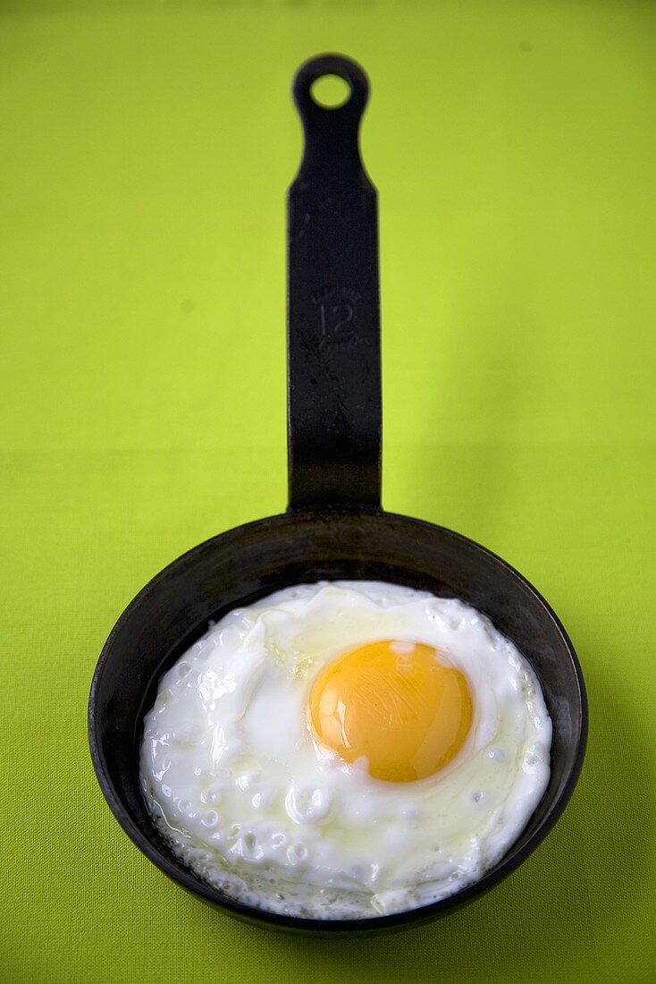 Fried Egg in Small Skillet; Green Background