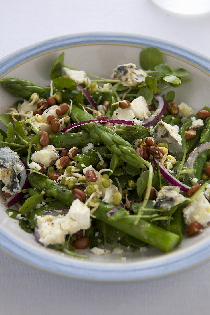 Spargelsalat mit Sprossen und Ziegenkäse