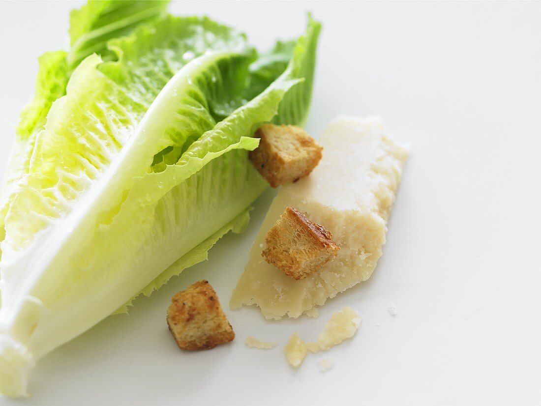 Caesar Salad Ingredients; Romain Lettuce, Croutons and Parmesan Cheese