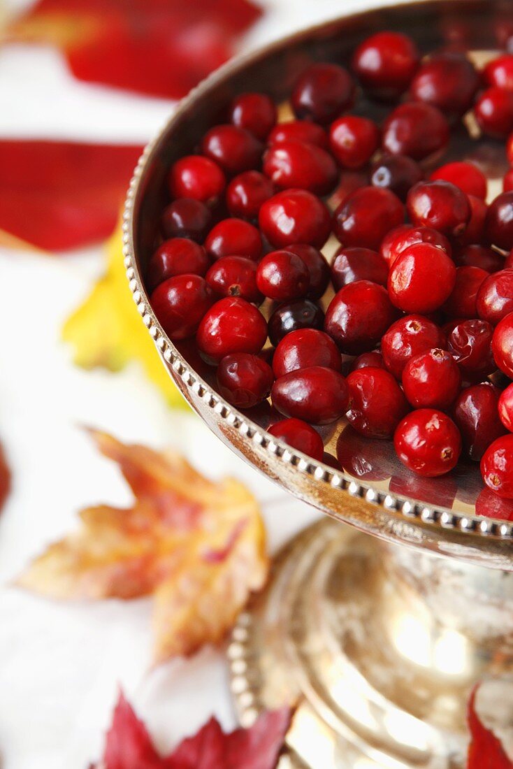 Viele Cranberries in Silberschale als Tischdeko