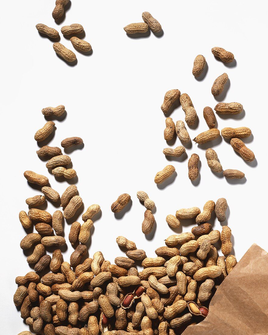 Many Peanuts Spilling from Paper Bag