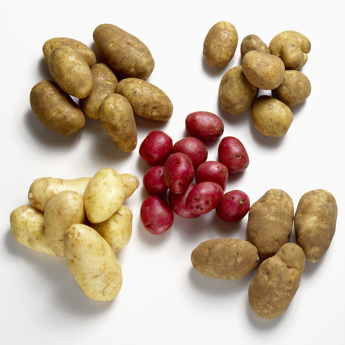 Variety of Potatoes on White Background
