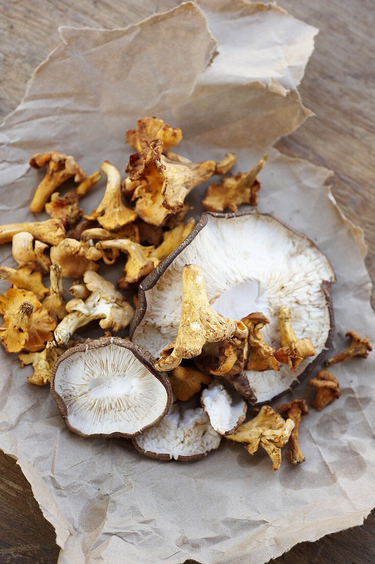 Assorted Wild Mushrooms on Paper Bag