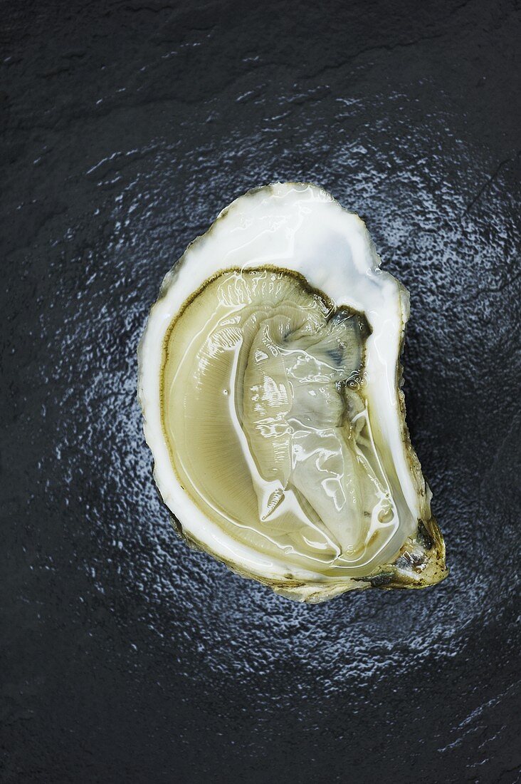 Half of a Bluepoint Oyster