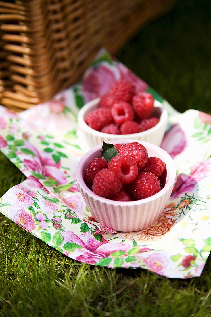 Frische Himbeeren im Schälchen