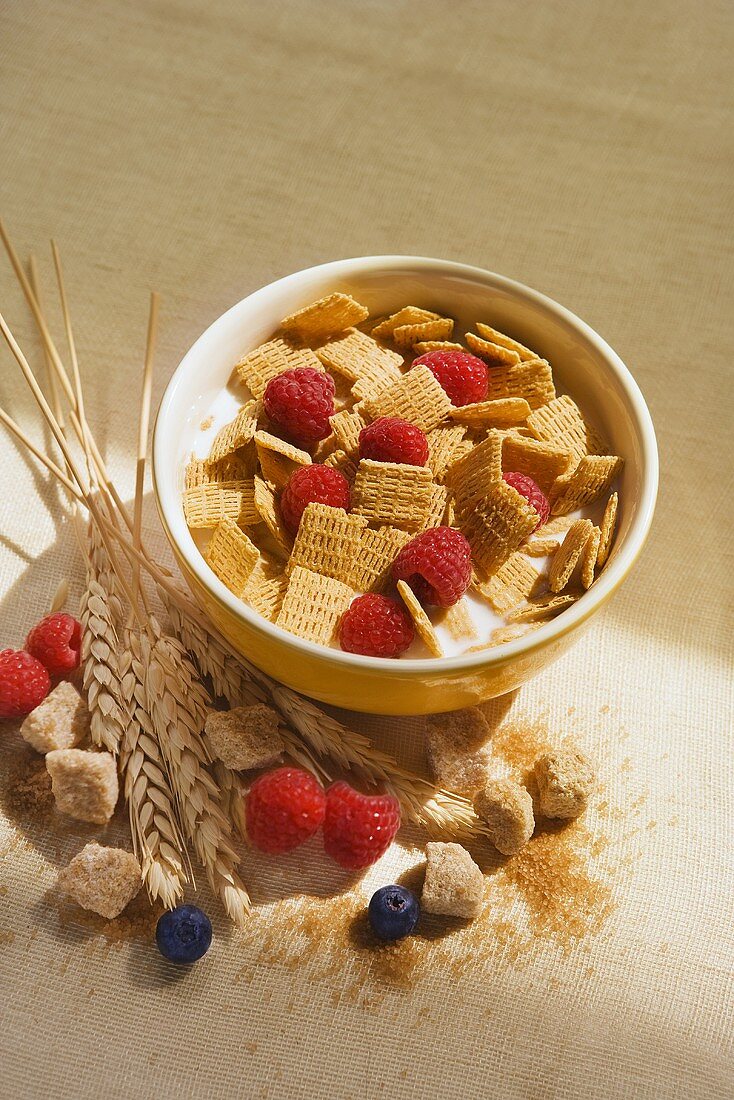 Bowl of Cereal with Raspberries