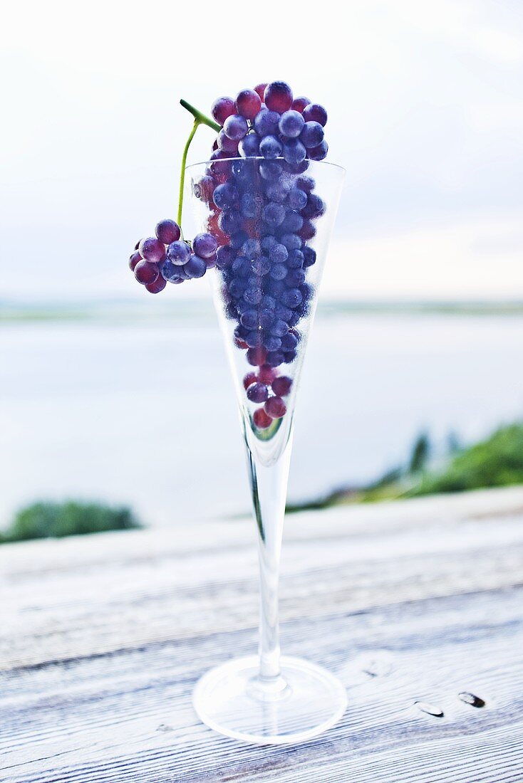 Champagne Grapes in Champagne Flute; Outside