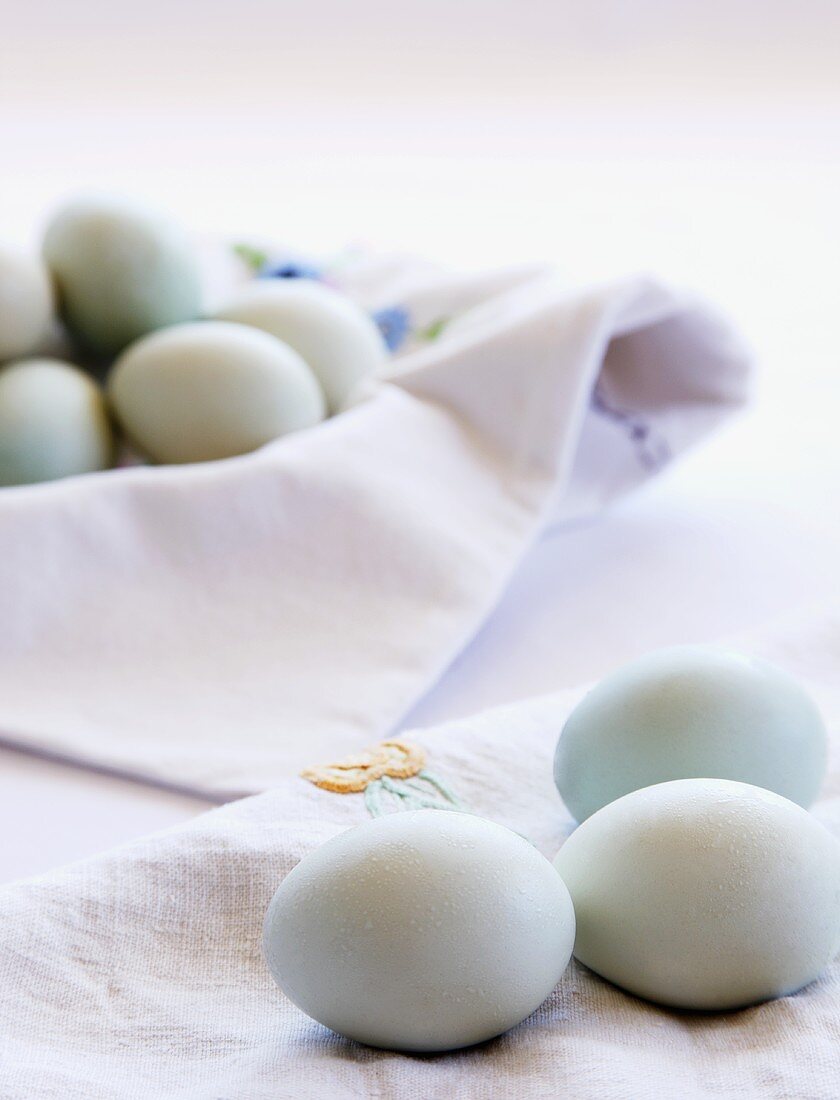 Organic Eggs on White Cloth