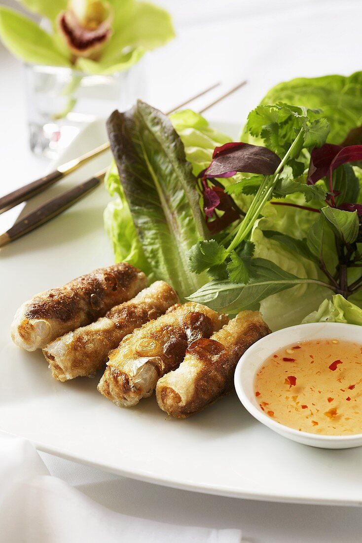 Frühlingsröllchen mit süsssaurer Sauce und Blattsalat