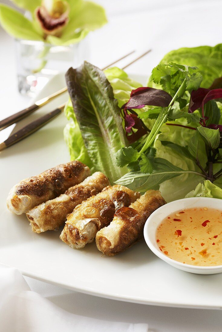 Spring Rolls with Sweet and Sour Sauce