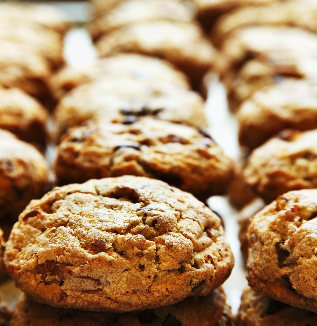 Pekannuss- und Chocolate-Chip Cookies