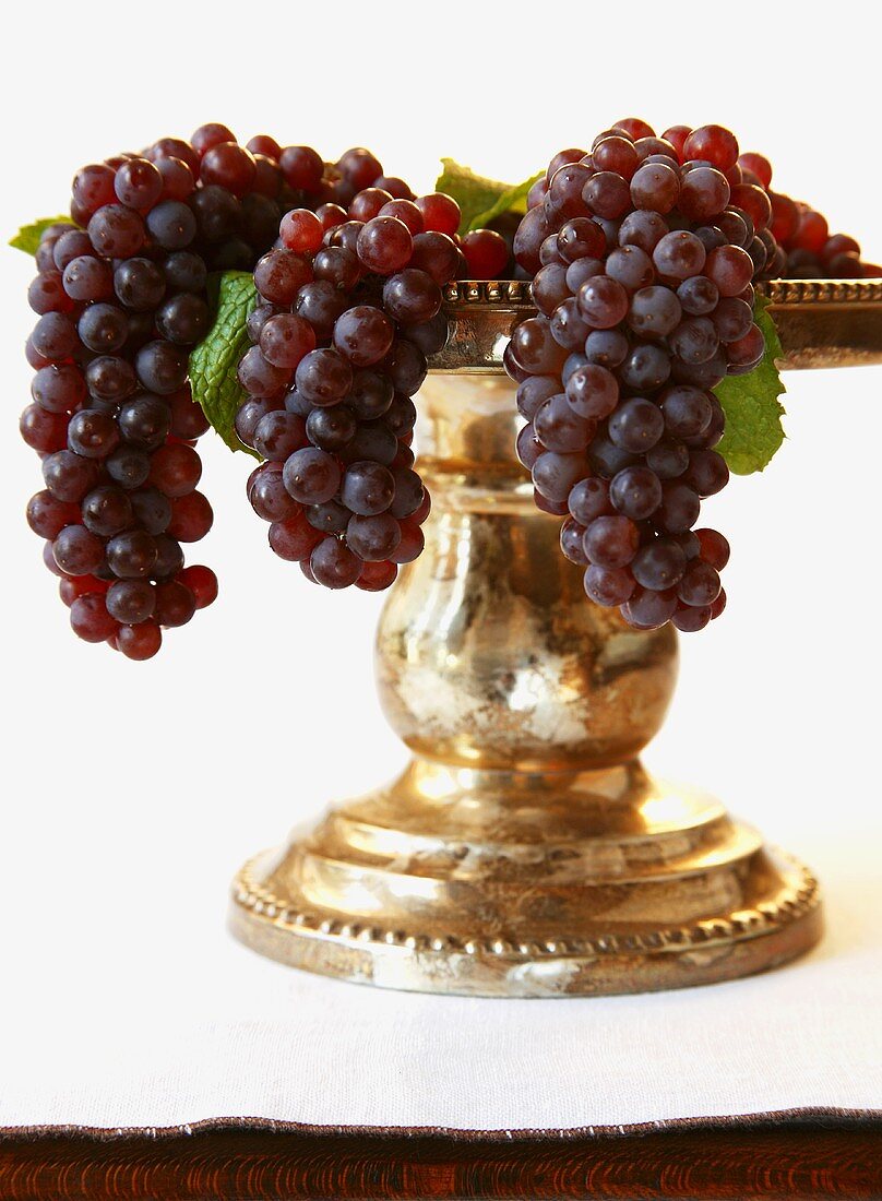 Champagne Grapes on Pedestal