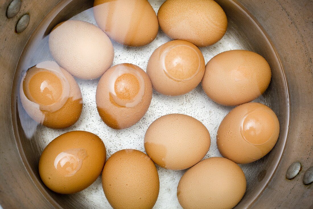 Brown Eggs in a Pot of Water