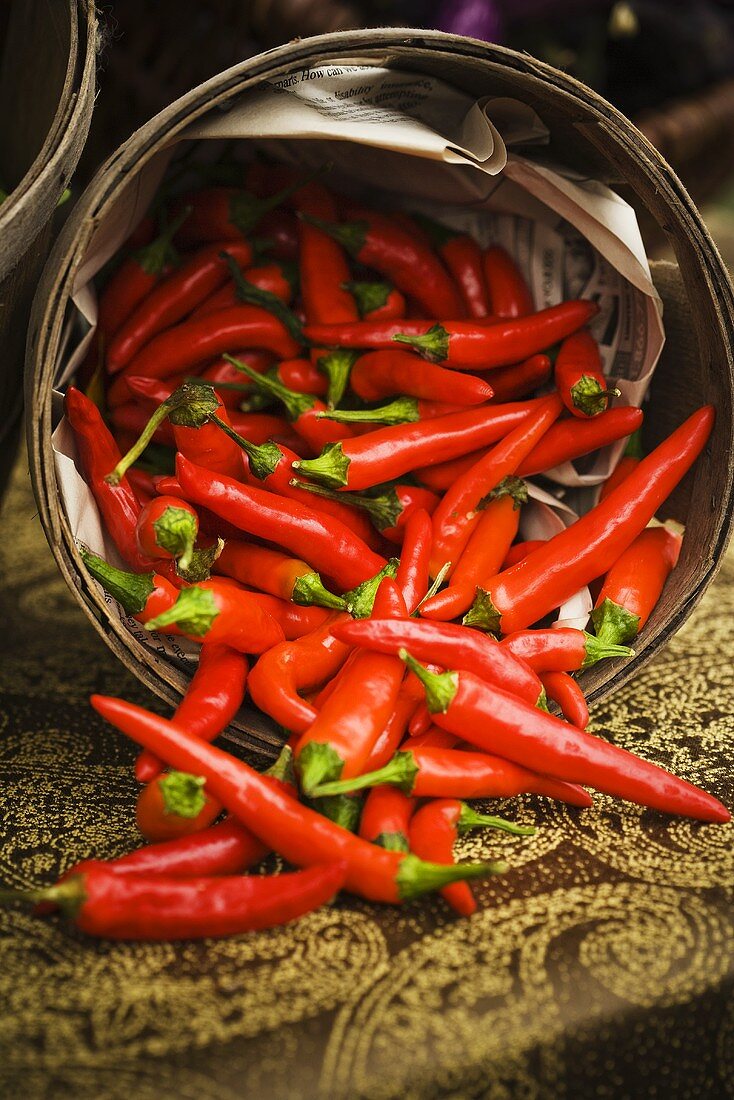 Red Chili Peppers Spilling From Basket