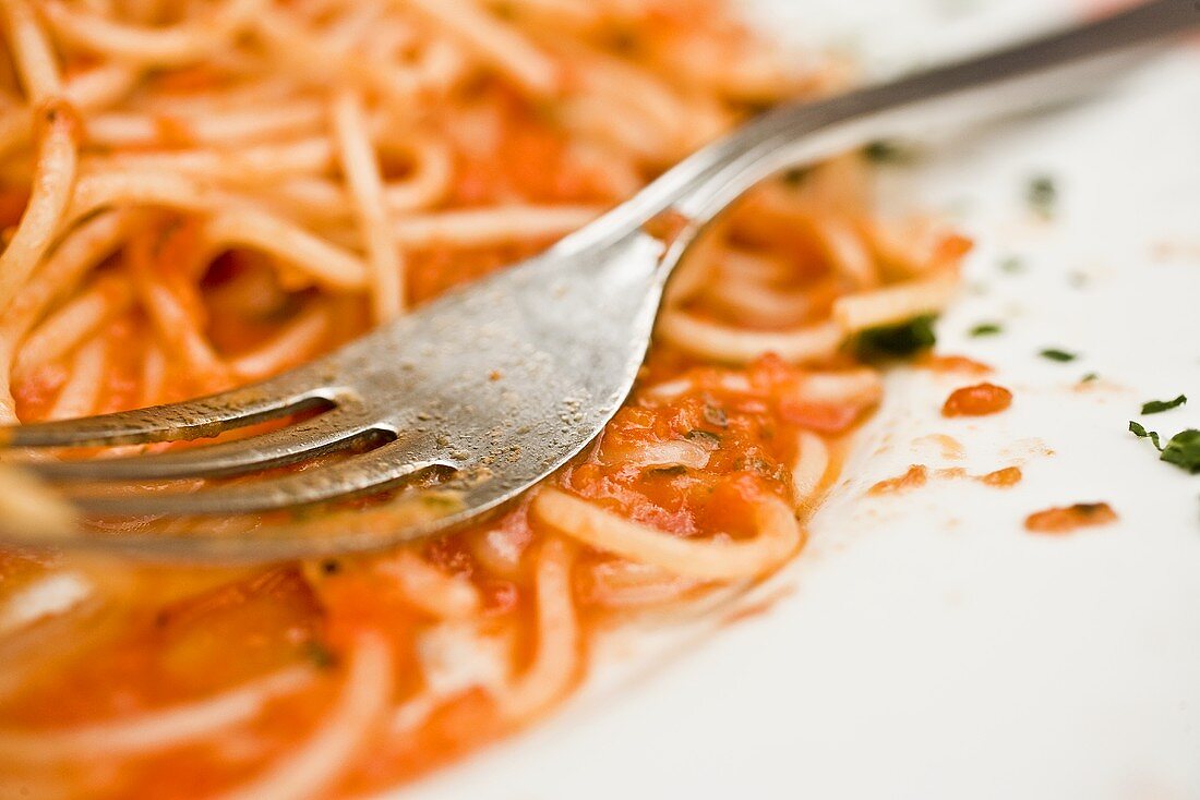 Spaghetti Pomodora on a Plate with Fork
