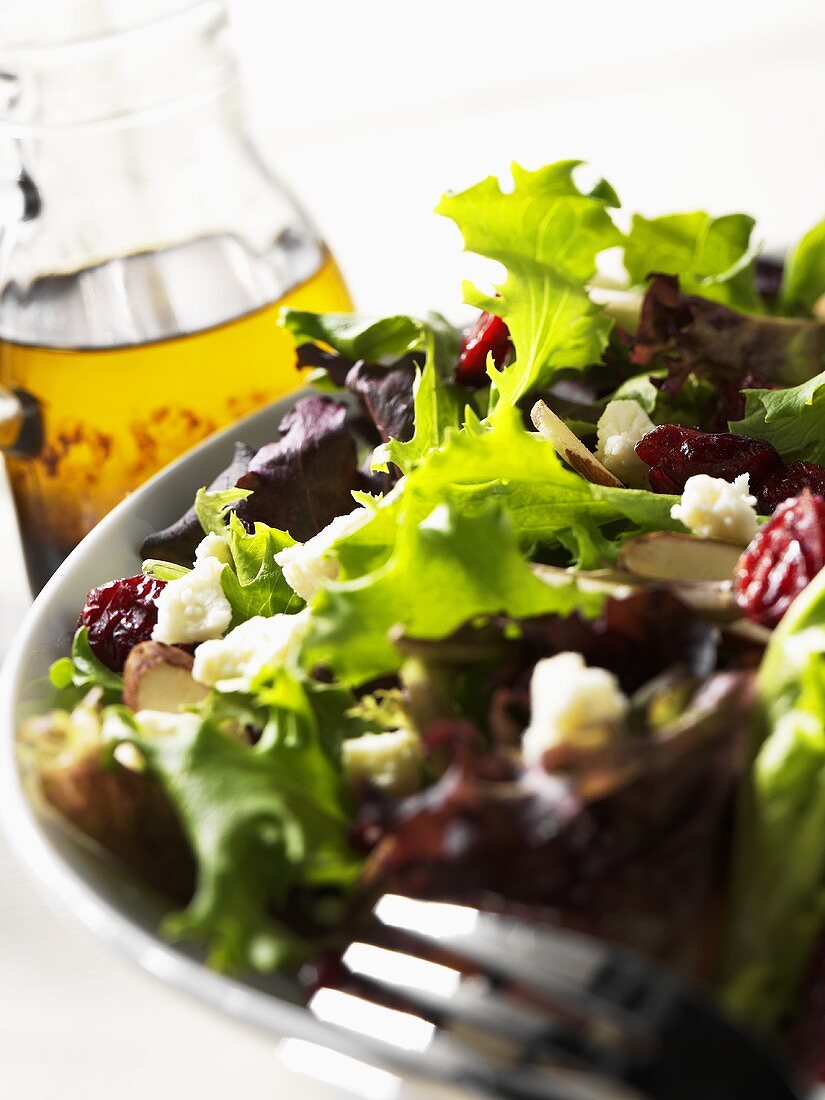 Gemischter Blattsalat mit Cranberries und Olivenöl