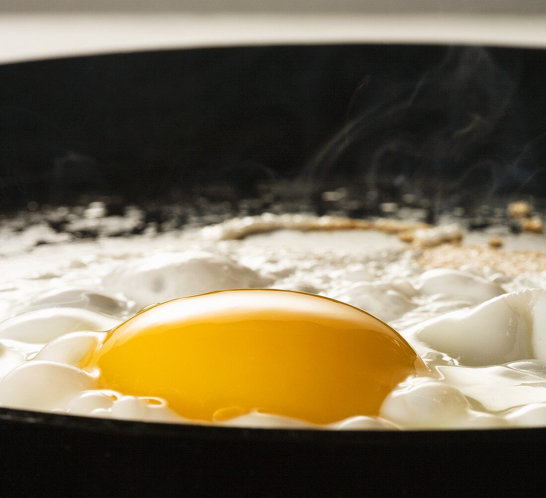 Egg Frying in Frying Pan