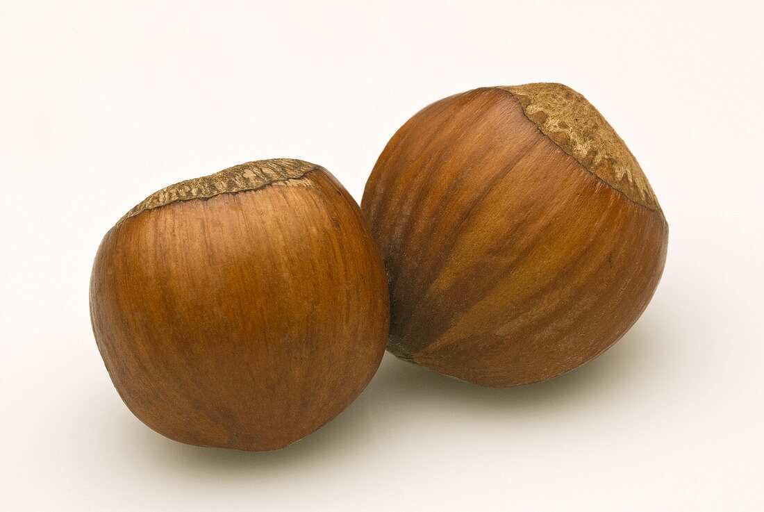 Two hazelnuts