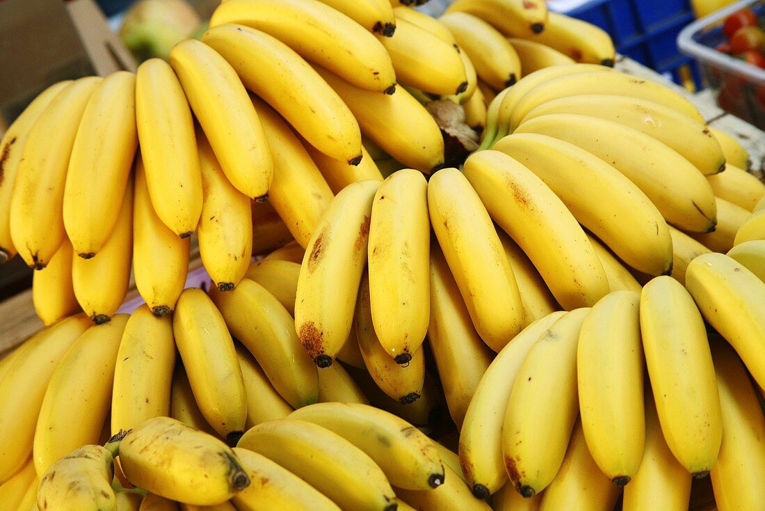 Bananenstauden auf Marktstand (Italien)