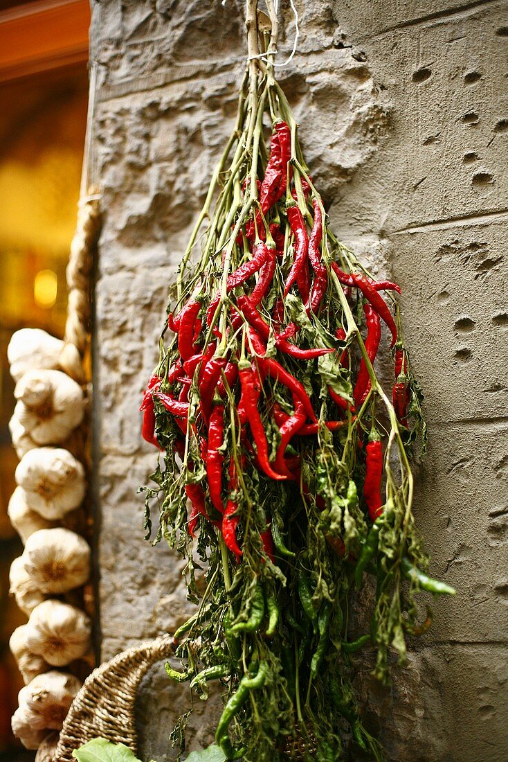 Red Peppers and Garlic Hanging on a Wall; Florence, Italy