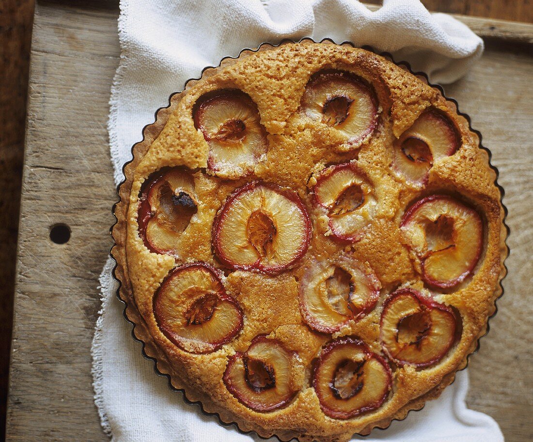 Whole Rustic Plum Tart; From Above