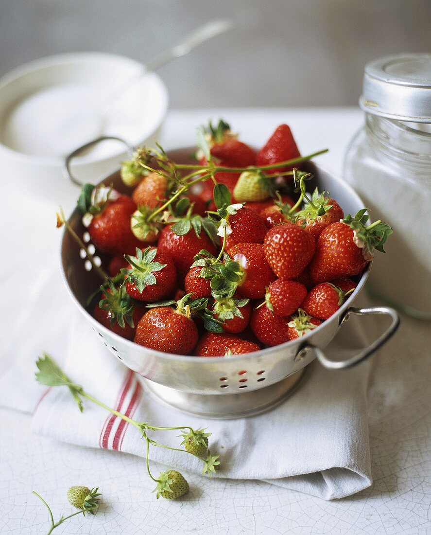 Fresh Organic Strawberries in a Colander