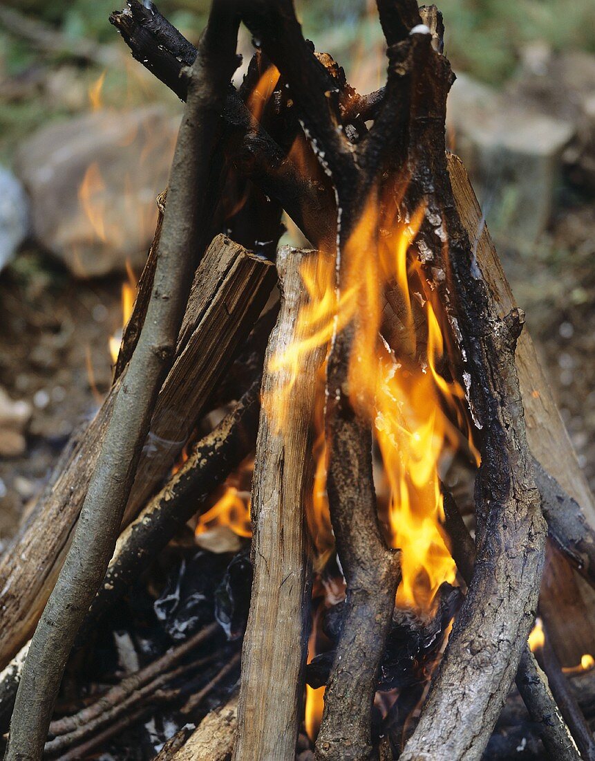 Lagerfeuer im Freien