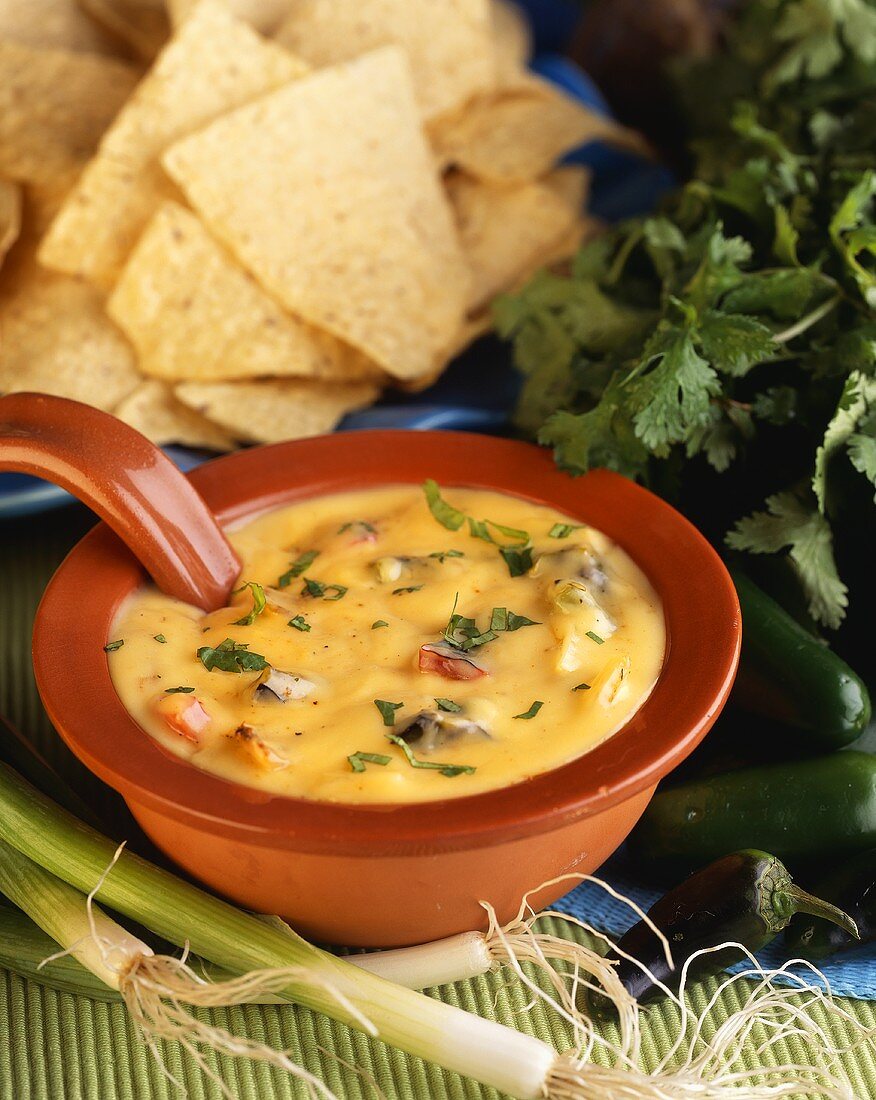 Southwestern Cheese Dip with Tortilla Chips