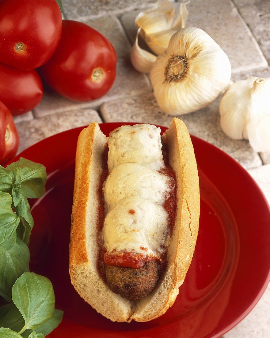 Meatball Sub on a Red Plate; Garlic, Tomato and Basil