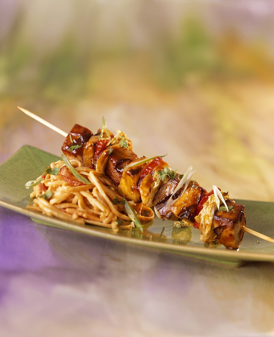 Asian Style Kabob with Noodles