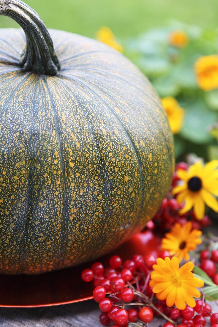 Herbstliche Dekoration mit einem Kürbis