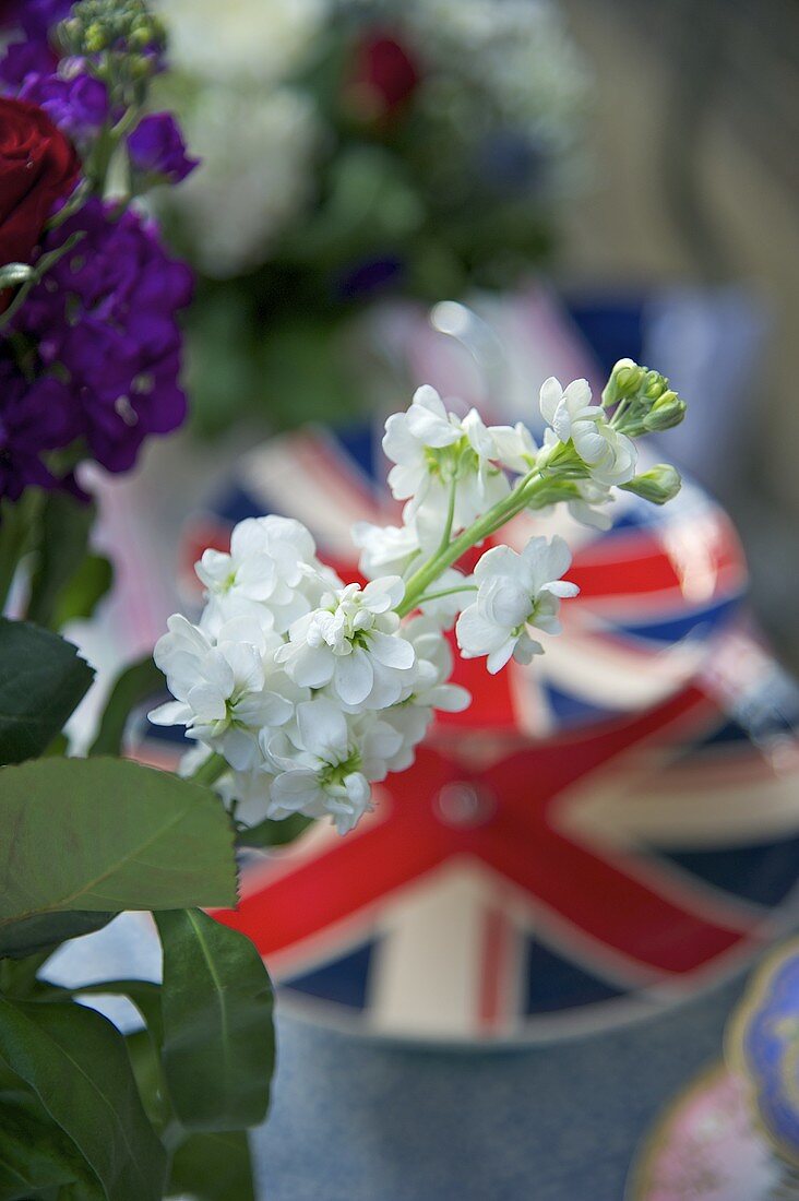 Weisser Blütenstengel vor Teller mit Union Jack Motiv